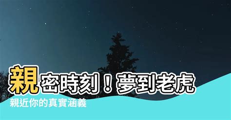 夢到 老虎|夢見老虎